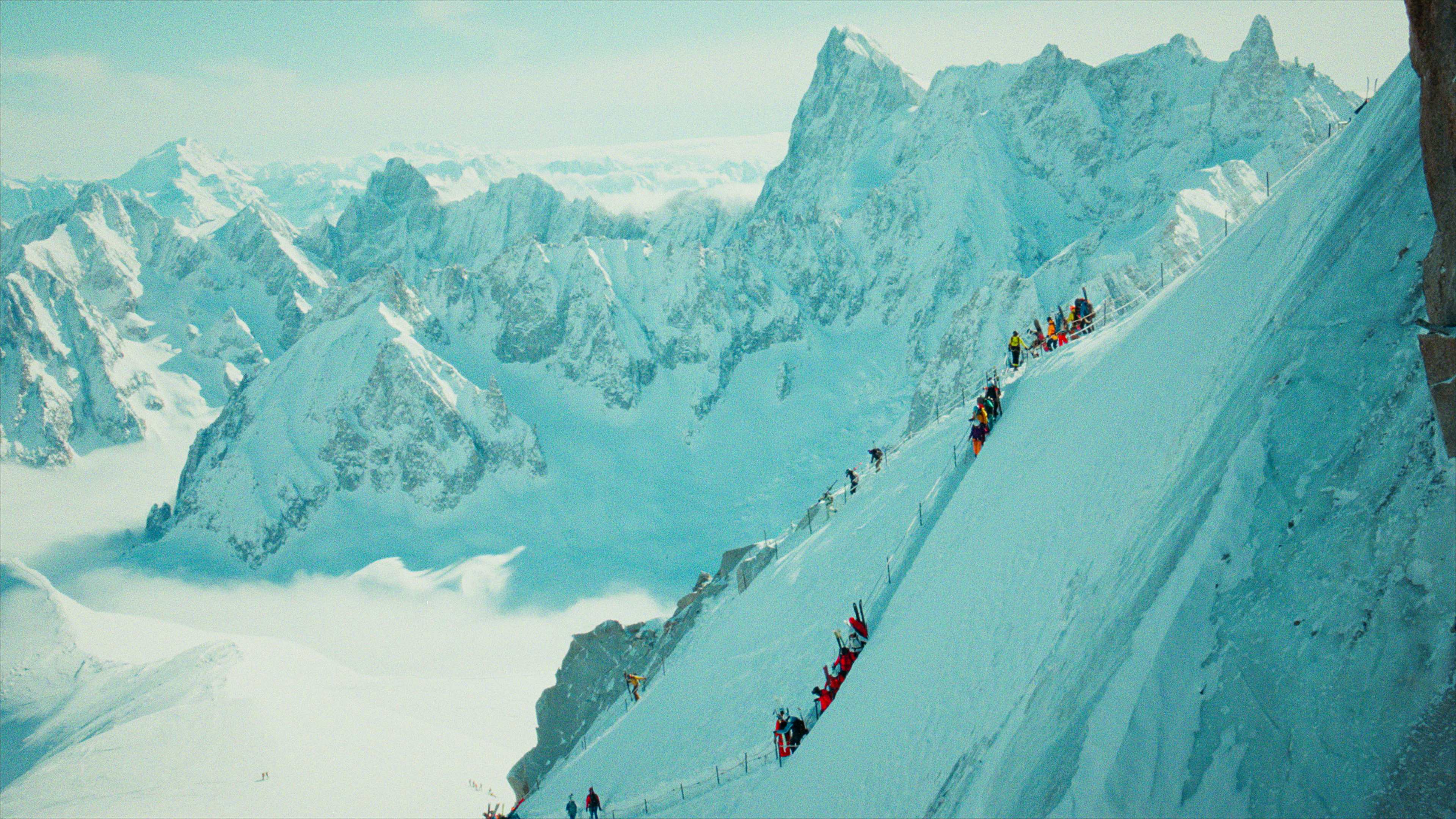 L'Afide e la Formica