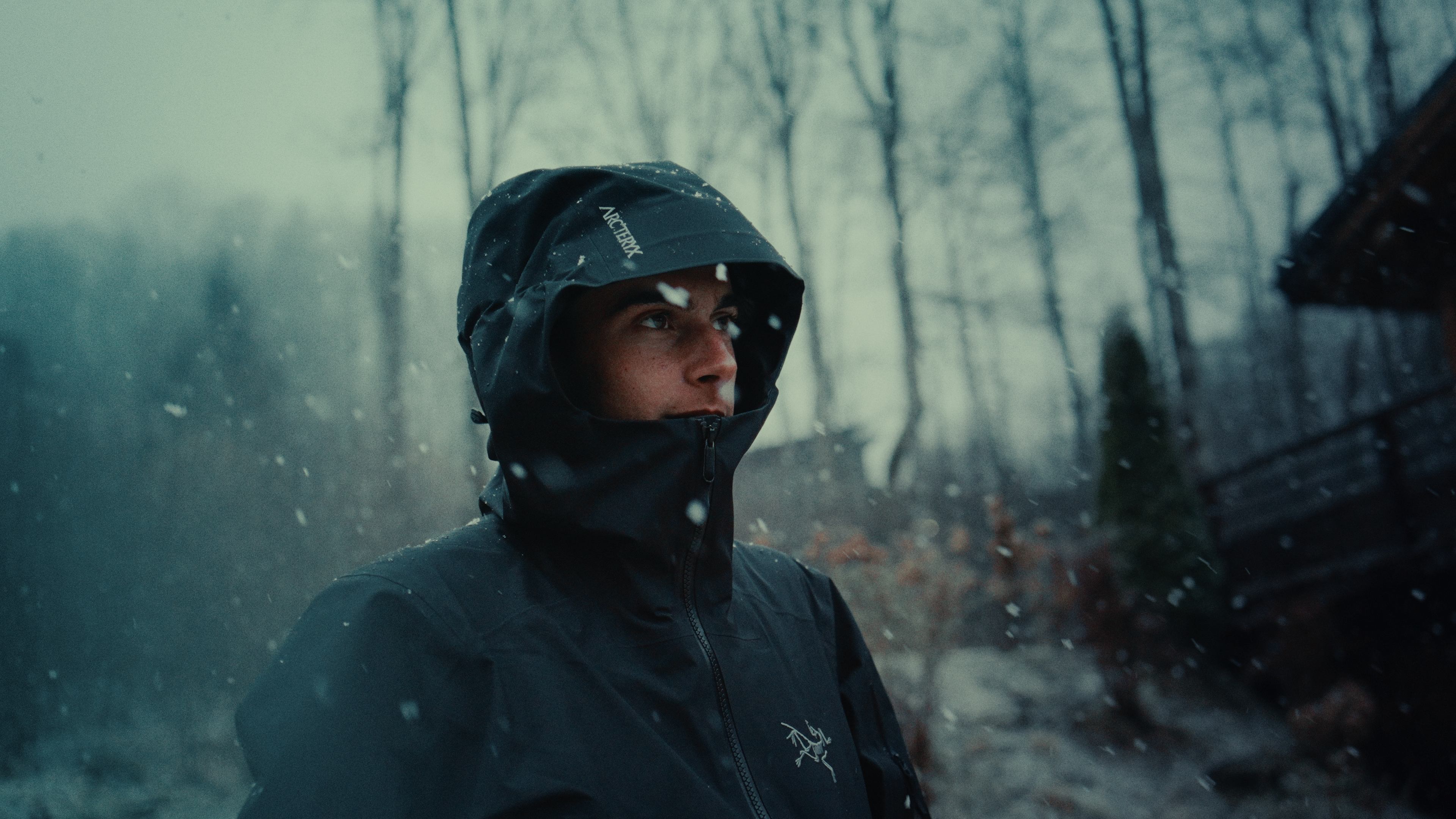 Les Aigles de Carthage